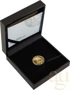 1/4 Unze Goldmünze Südafrika Big Five Elefant 2024 proof