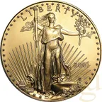 1 Unze Goldmünze American Eagle 2001
