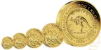 1 Unze Goldmünze Australien Känguru 2025