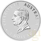 1 Unze Silbermünze Australien Koala 2024 - Panda Privy Mark