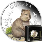 1 Unze Silbermünze Australien Quokka 2024 coloriert - polierte Platte