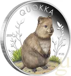 1 Unze Silbermünze Australien Quokka 2024 coloriert - polierte Platte