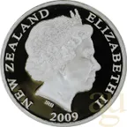 1 Unze Silbermünze Neuseeland Kiwi 2009 - polierte Platte