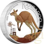 1 Unze Silbermünze Australien Känguru 2024 - polierte Platte - High Relief - coloriert