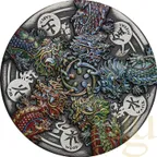 5 Unzen Silbermünze Tuvalu - Der Drache und die fünf Elemente 2024 - Antik Finish - coloriert