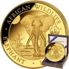 1 Unze Goldmünze Somalia Elefant 2024 - ANA Chicago