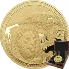 5 Unzen Goldmünze Republic of Tschad African Safari Löwe 2017 - polierte Platte