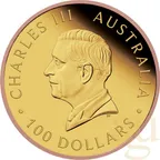 The Perth Mint 125 Jahre Australian Five Sovereign 2024 Goldmünze teilvergoldet - polierte Platte