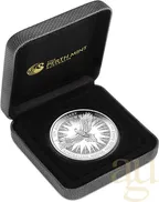 3 Unzen Silbermünze Australien Wedge Tailed Eagle 2024 - polierte Platte