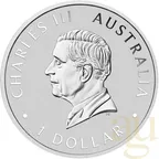 1 Unze Silbermünze Australien Brumby 2024 - coloriert