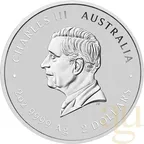2 Unzen Silbermünze Australien Lunar III Schlange 2025 - coloriert