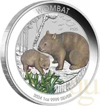 1 Unze Silbermünze Australien Wombat 2024 coloriert - Coincard