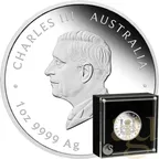 1 Unze Silbermünze Australien Proclamation Coin - Pillar Dollar 2025 - proof