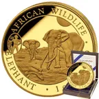 1 Unze Goldmünze Somalia Elefant 2025 - ANA Oklahoma City