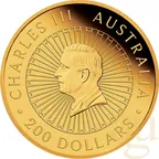 2 Unzen Goldmünze Australien Great Southern Land Blue Lepidolite 2025 - polierte Platte