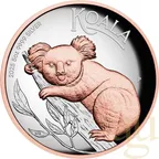 5 Unzen Silbermünze Australien Koala 2025 - High Relief - polierte Platte - rosè vergoldet
