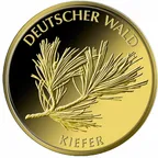 20 Euro Goldmünze Deutscher Wald - Kiefer 2013 (D)