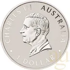 1 Unze Silbermünze Australien Wedge Tailed Eagle 2025