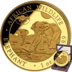 1 Unze Goldmünze Somalia Elefant 2026 - WMF Berlin