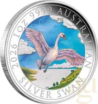 1 Unze Silbermünze Australien Schwan 2026 - coloriert