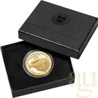 1 Unze Goldmünze American Eagle 2021 - neues Design Type 2 - polierte Platte