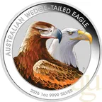 1 Unze Silbermünze Australien Wedge Tailed Eagle 2026 coloriert - Coincard