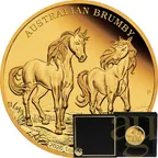 1 Unze Goldmünze Australien Brumby 2026 - polierte Platte