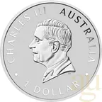 1 Unze Silbermünze Australien Koala 2026 ANDA Special coloriert - Coincard