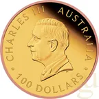 Australien Five Sovereign 2025 - polierte Platte reverse teilvergoldet