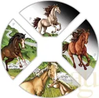 4x 1 Unze Silbermünze Australien Lunar III Pferd 2026 Quadrant Four-Coin-Set coloriert - Proof
