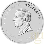 1 Unze Silbermünze Australien Lunar III Pferd 2026 - coloriert