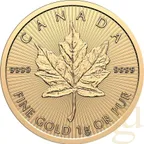 25x 1g Goldmünze Maple Leaf - Maplegram 2026