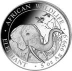 5 Unzen Silbermünze Somalia Elefant 2018