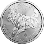 1 Unze Silbermünze Kanada Predator Serie - Wolf 2018