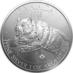 1 Unze Silbermünze Kanada Predator Serie - Grizzly 2019