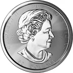 10 Unzen Silbermünze Kanada Magnificent Maple Leaf 2020