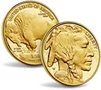 1 Unze Goldmünze American Buffalo 2011