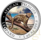 1 Unze Silbermünze Somalia African Wildlife Leopard 2021 - coloriert
