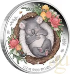 1/2 Unze Silbermünze Australien Dreaming Down Under - Koala 2021 - proof color