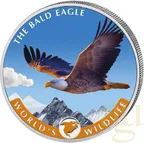 1 Unze Silbermünze Kongo World´s Wildlife - Weißkopfseeadler 2021 - coloriert