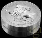 10 Unzen Silbermünze Australien Wedge Tailed Eagle 2021 Ultra High Relief - polierte Platte