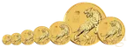 10 Unzen Goldmünze Australien Lunar III Tiger 2022