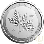 10 Unzen Silbermünze Kanada Magnificent Maple Leaf 2021