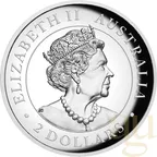 2 Unzen Silbermünze Australien Brumby 2021  - High Relief - polierte Platte