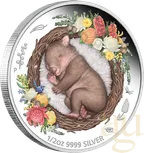 1/2 Unze Silbermünze Australien Dreaming Down Under - Wombat 2021 - proof color