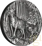 2 Unzen Silbermünze Australien Lunar III Tiger 2022 Antik Finish