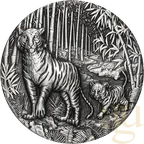2 Unzen Silbermünze Australien Lunar III Tiger 2022 Antik Finish