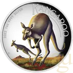 1 Unze Silbermünze Australien Känguru 2022 - polierte Platte - High Relief - coloriert