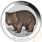 1 Unze Silbermünze Australien Wombat 2022 coloriert - Coincard