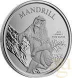 1 Unze Silbermünze Kamerun Mandrill 2021